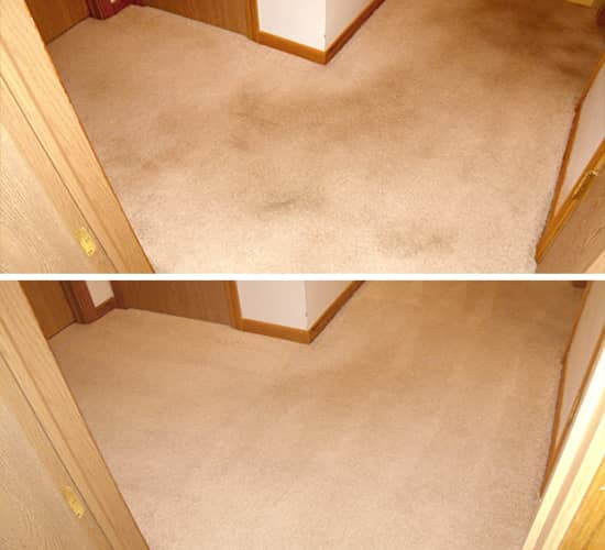 before and after carpet cleaning